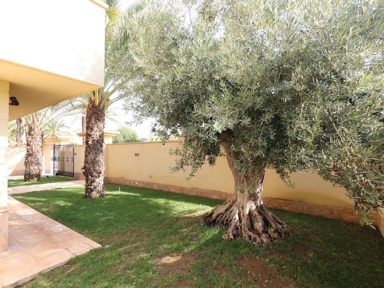 Villa for Sale in Costa Blanca Cabo Roig, Alicante 27