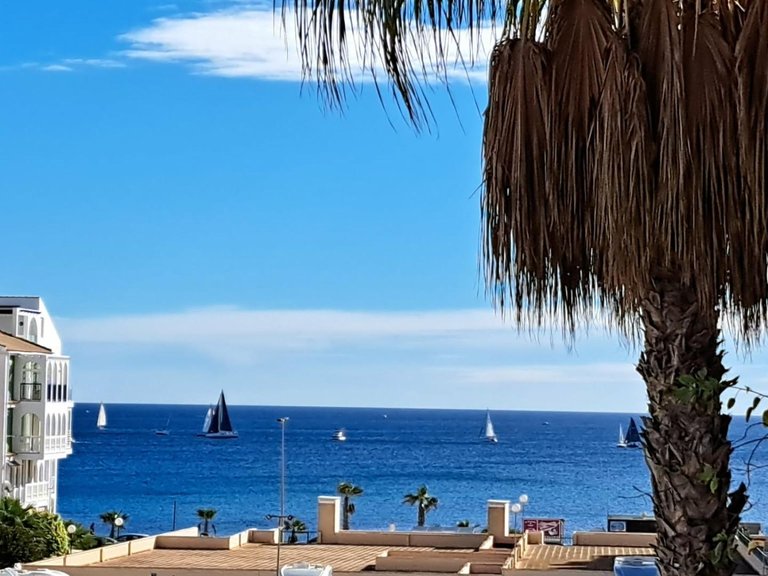 Apartment for Sale in Torrevieja, Alicante 21