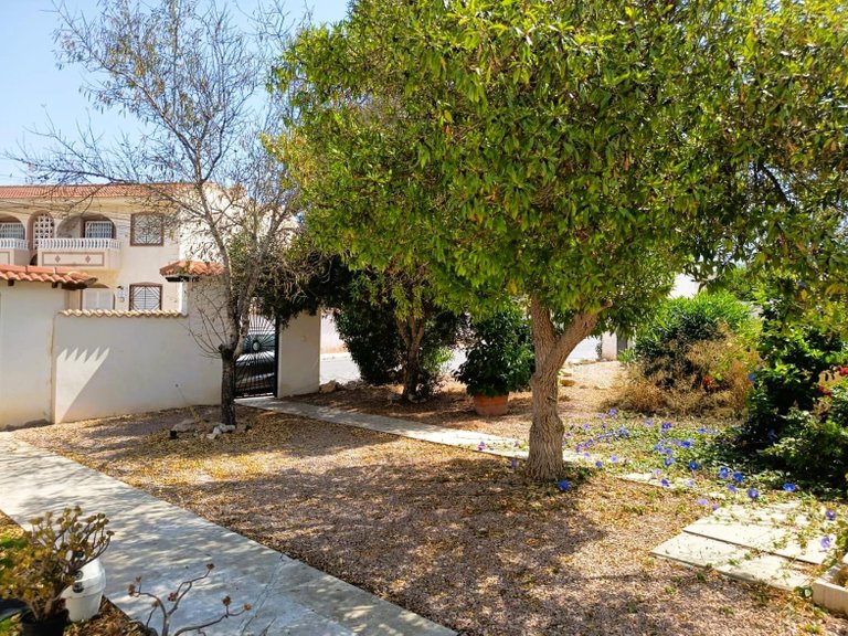Villa for Sale in Torrevieja, Alicante 27