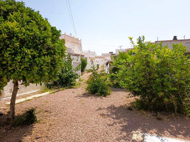 Villa for Sale in Torrevieja, Alicante 28