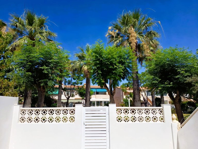 Apartment for Sale in Cabo Roig, Alicante 26