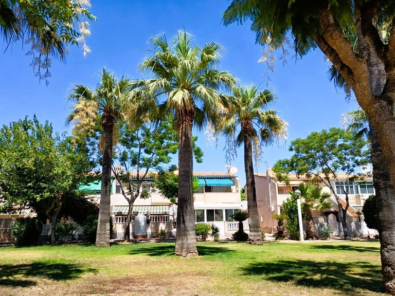Apartment for Sale in Cabo Roig, Alicante 28