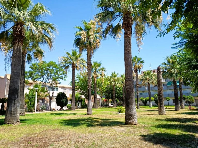 Apartment for Sale in Cabo Roig, Alicante 29