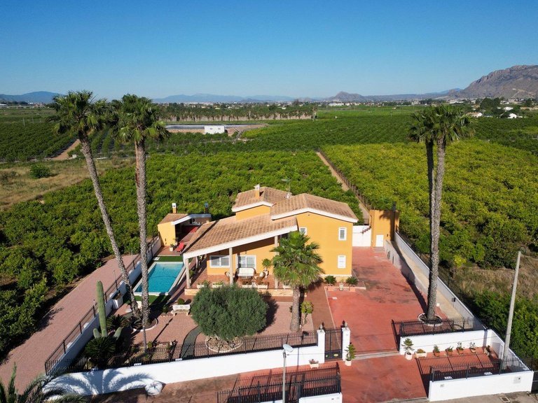 Villa for Sale in Inland Orihuela, Alicante 14