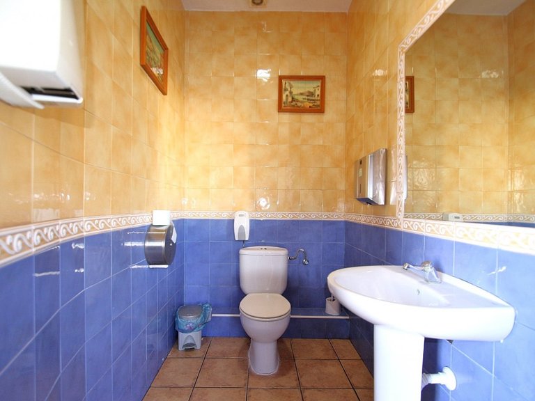 Commercial for Sale in Torrevieja, Alicante 14