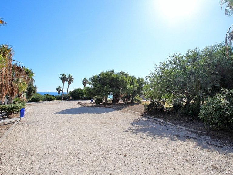 Commercial for Sale in Torrevieja, Alicante 16