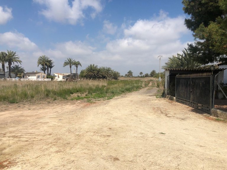 Country House for Sale in Elche, Alicante 10