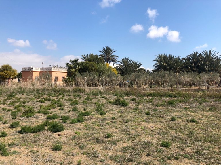 Country House for Sale in Elche, Alicante 5