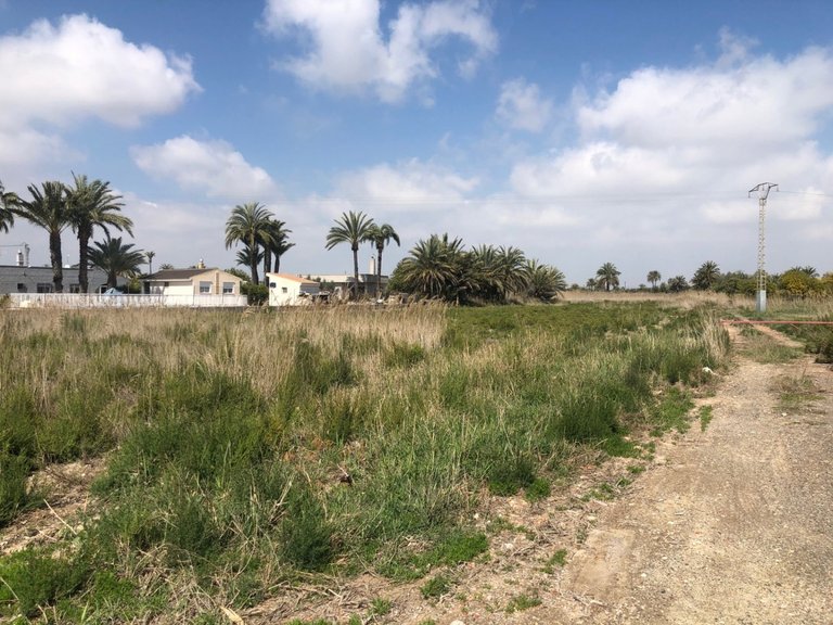 Country House for Sale in Elche, Alicante 6
