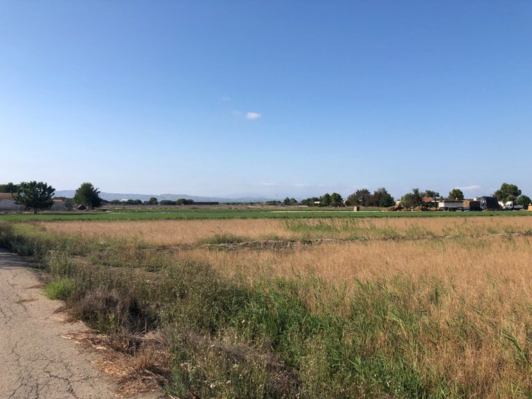 Plot for Sale in Dolores, Alicante 1