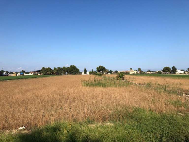 Plot for Sale in Dolores, Alicante 2