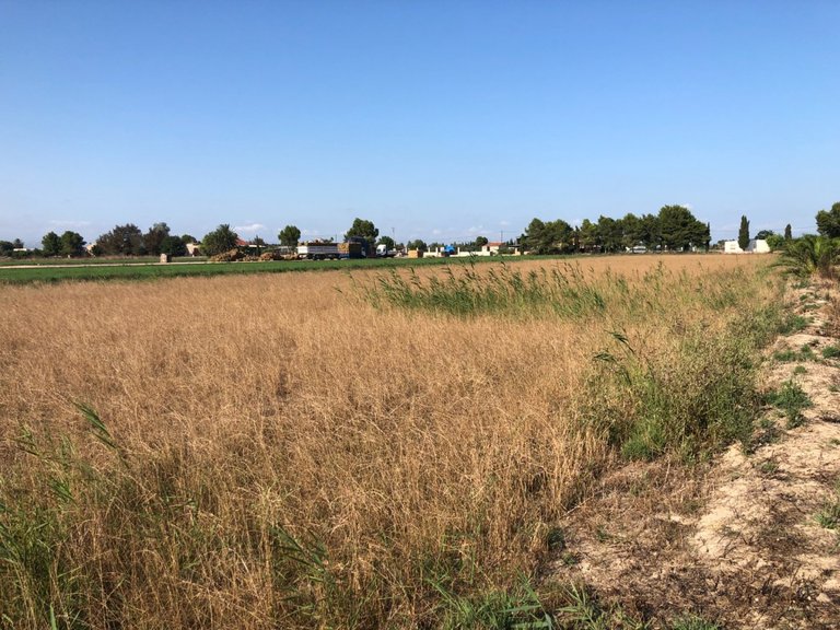 Plot for Sale in Dolores, Alicante 3
