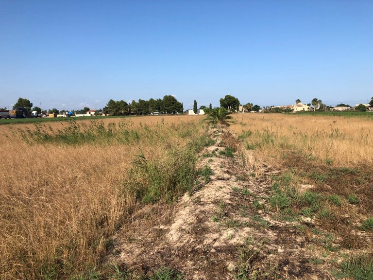 Plot for Sale in Dolores, Alicante 4