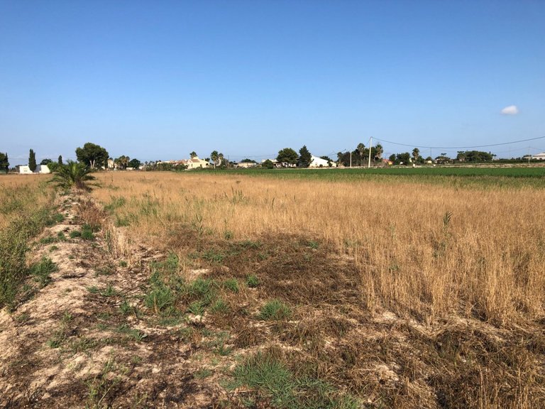 Plot for Sale in Dolores, Alicante 5