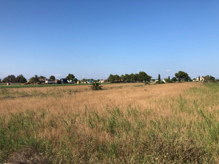 Plot for Sale in Dolores, Alicante 6