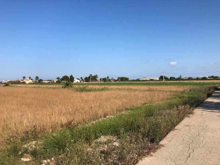 Plot for Sale in Dolores, Alicante 7