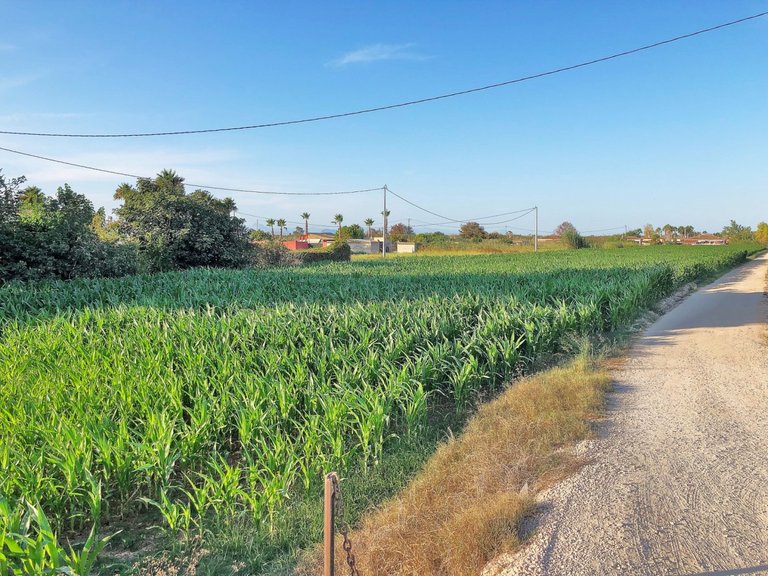 Plot for Sale in Dolores, Alicante 1