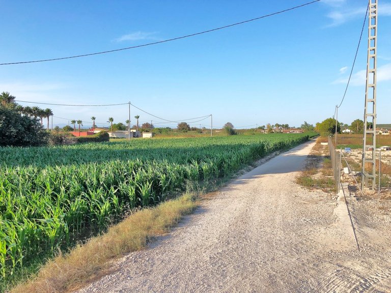 Plot for Sale in Dolores, Alicante 2