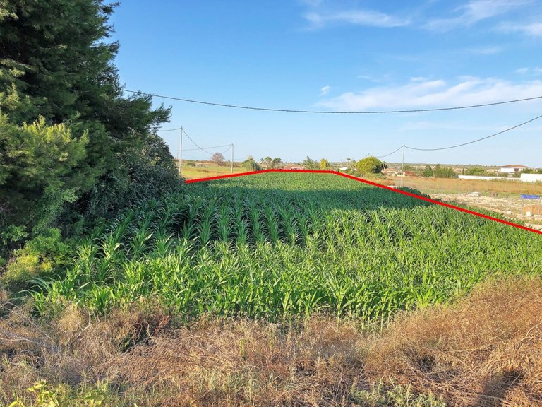 Plot for Sale in Dolores, Alicante 4