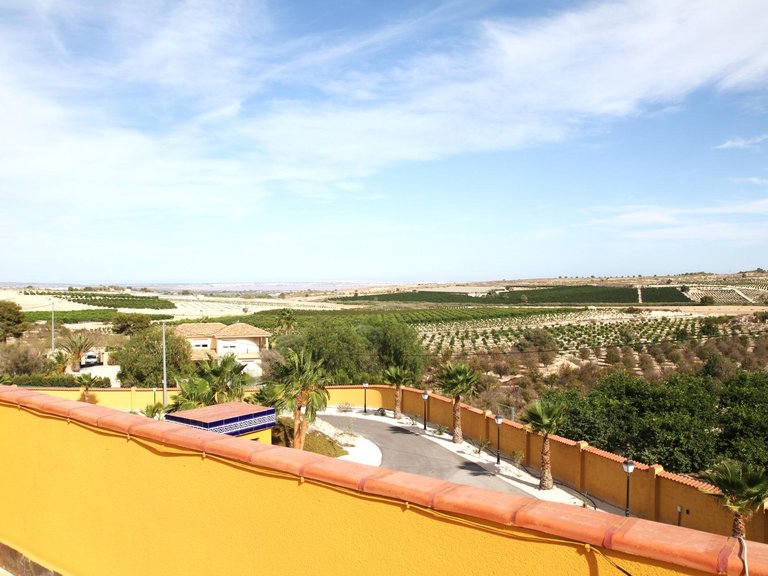 Country House for Sale in San Miguel De Salinas, Alicante 23