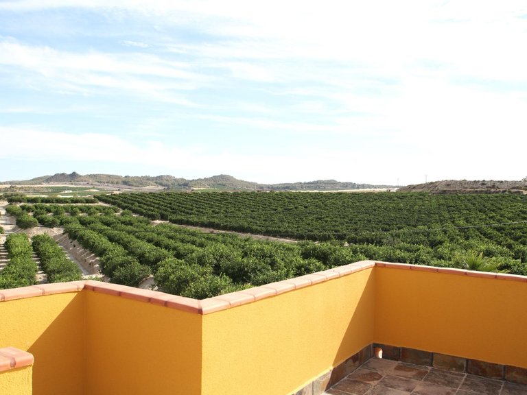 Country House for Sale in San Miguel De Salinas, Alicante 24