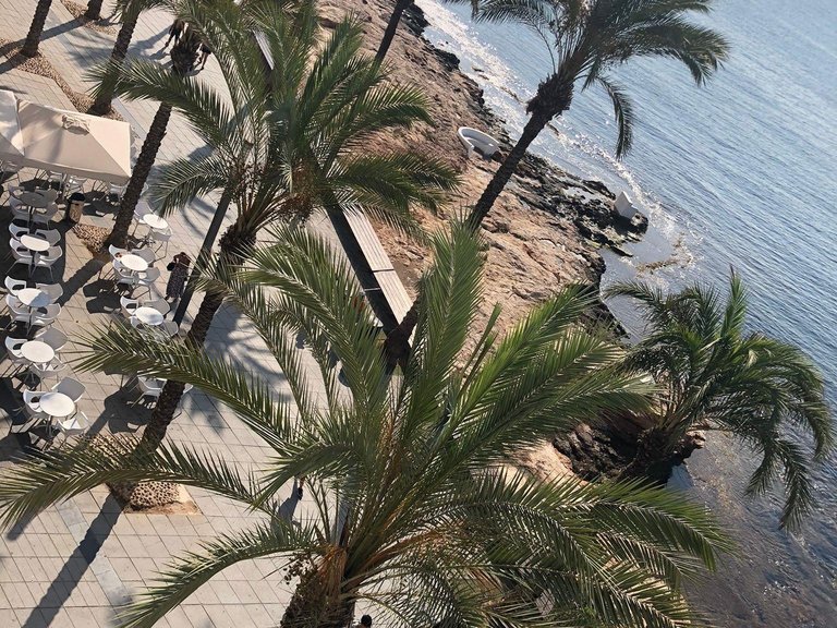 Apartment for Sale in Torrevieja, Alicante 20