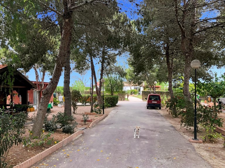 Country House for Sale in Dolores, Alicante 1