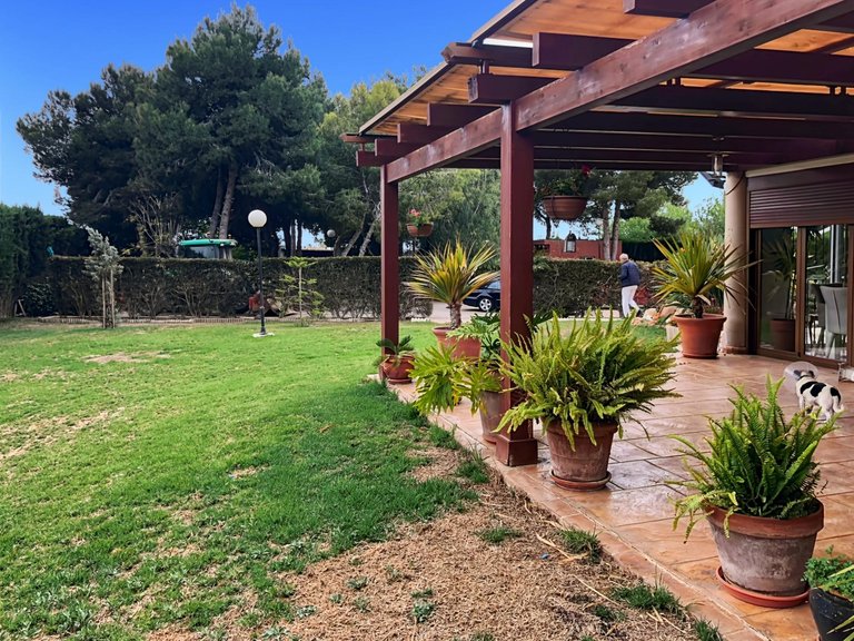 Country House for Sale in Dolores, Alicante 19