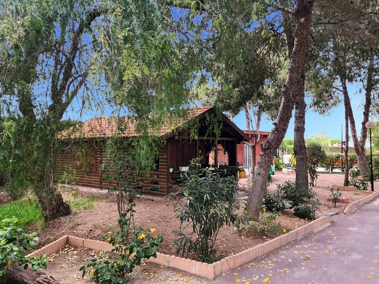 Country House for Sale in Dolores, Alicante 2