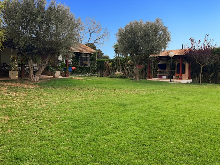 Country House for Sale in Dolores, Alicante 21