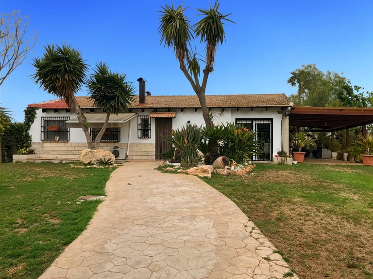 Country House for Sale in Dolores, Alicante 3