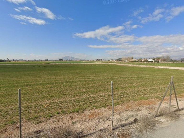 Plot for Sale in Catral, Alicante 2