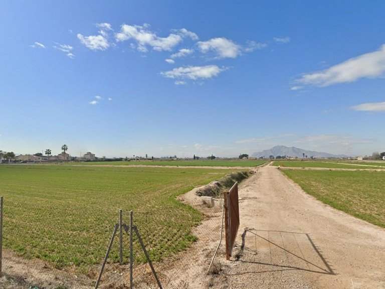 Plot for Sale in Catral, Alicante 3