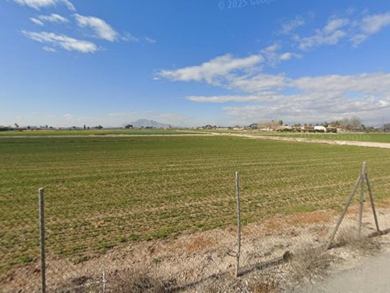 Plot for Sale in Catral, Alicante 2