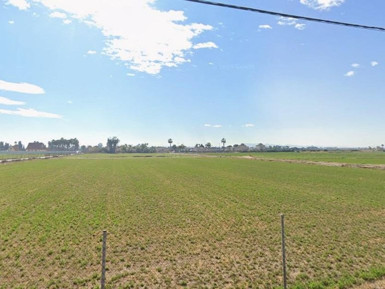 Plot for Sale in Catral, Alicante 3