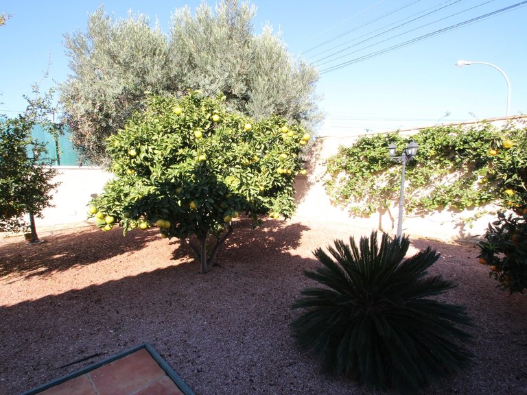 Villa for Sale in Torrevieja, Alicante 11