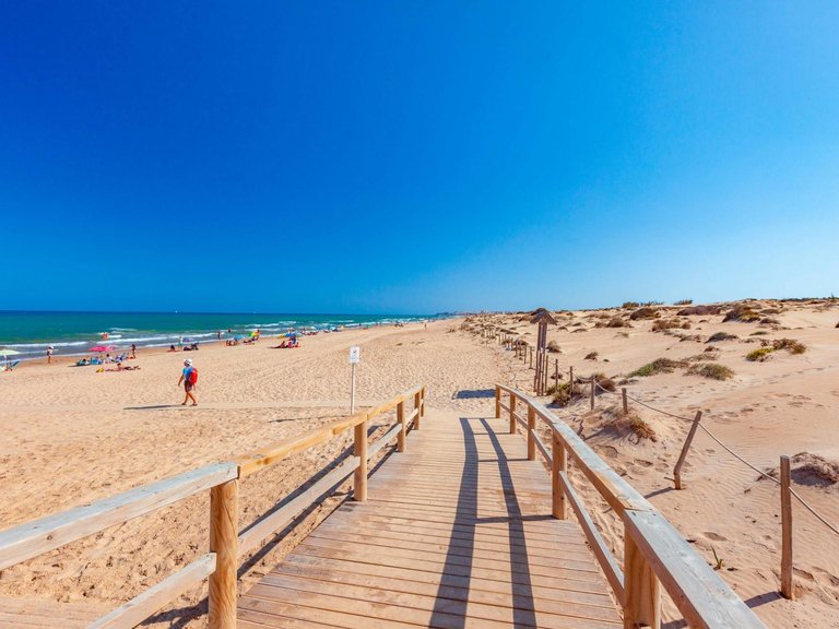 Commercial for Sale in Daya Nueva, Alicante 5
