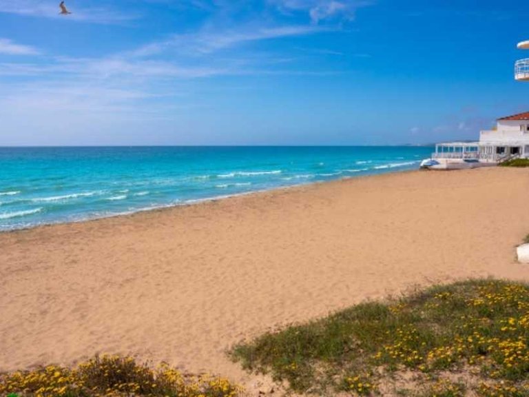 Commercial for Sale in Dolores, Alicante 5