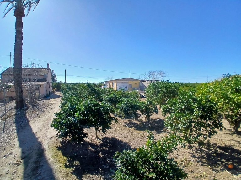 Country House for Sale in Daya Vieja, Alicante 11