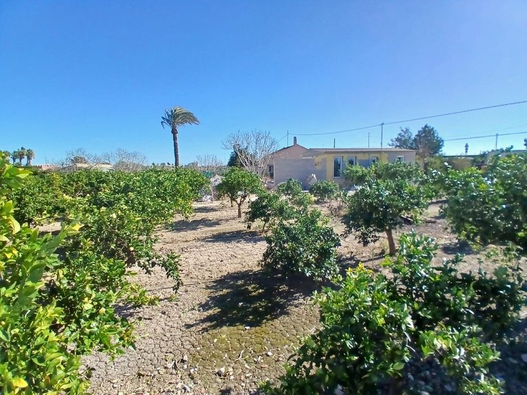 Country House for Sale in Daya Vieja, Alicante 12