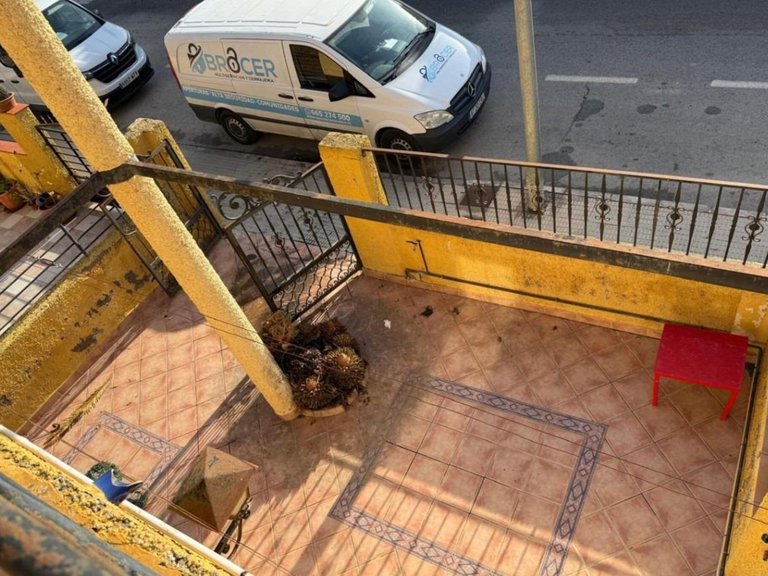 Villa for Sale in Dolores, Alicante 5