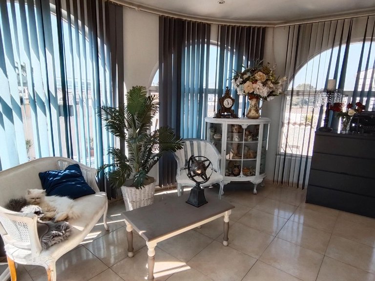 Villa for Sale in Torrevieja, Alicante 8