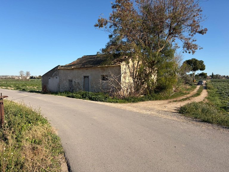Country House for Sale in Dolores, Alicante 1