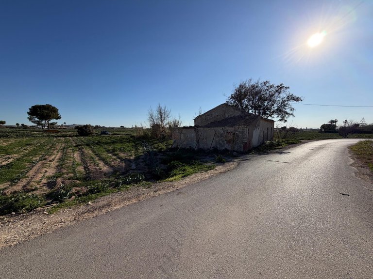 Country House for Sale in Dolores, Alicante 4