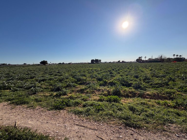 Country House for Sale in Dolores, Alicante 6
