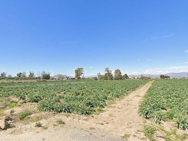 Country House for Sale in San Fulgencio, Alicante 4