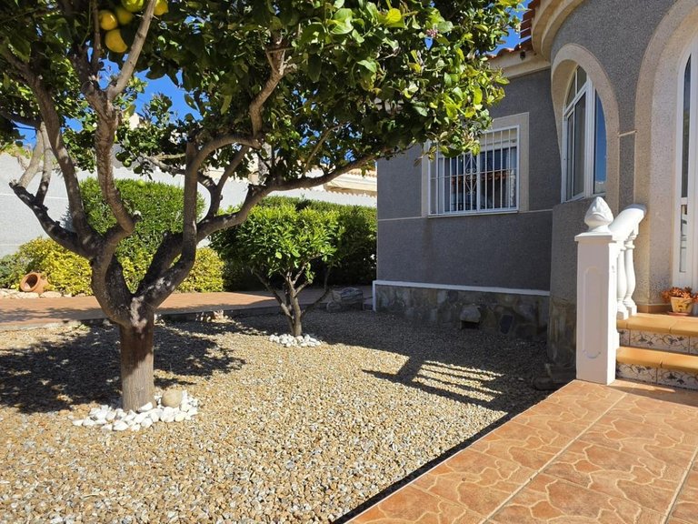Villa for Sale in Torrevieja, Alicante 40