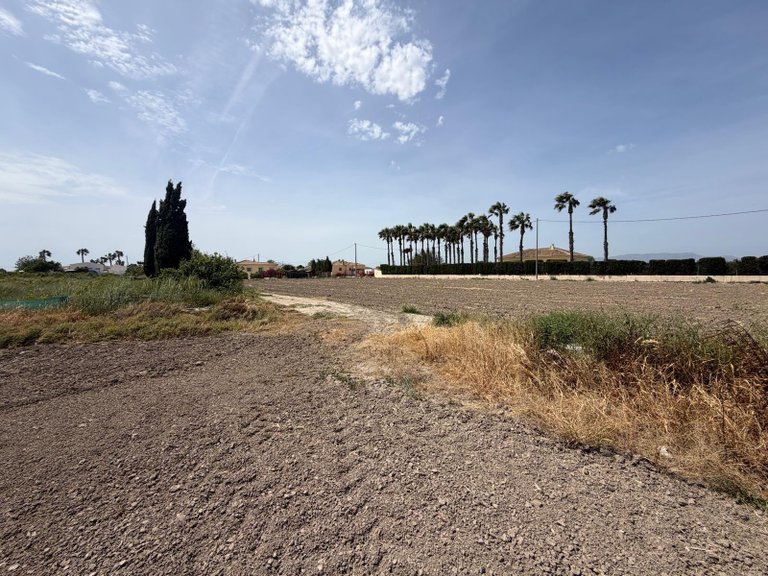 Plot for Sale in Dolores, Alicante 1