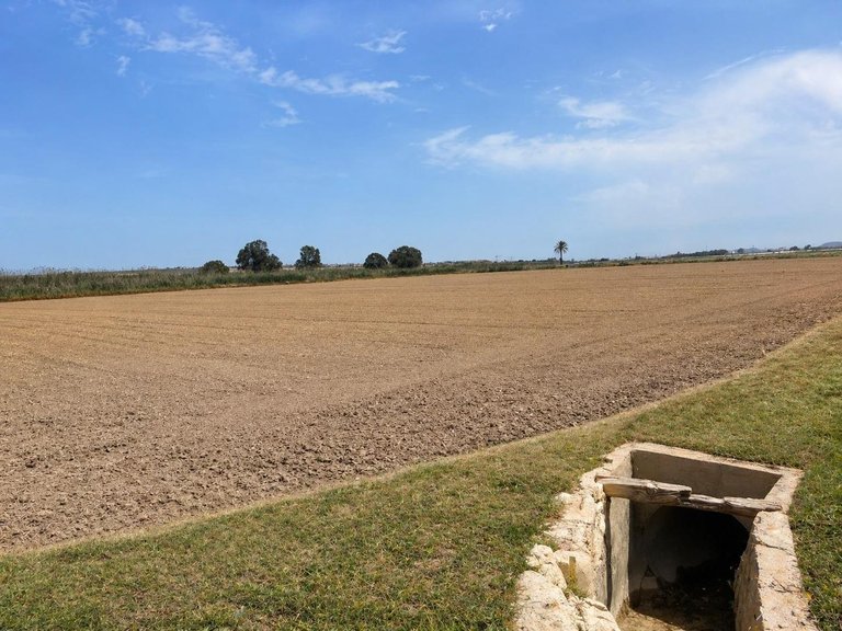 Plot for Sale in Dolores, Alicante 2