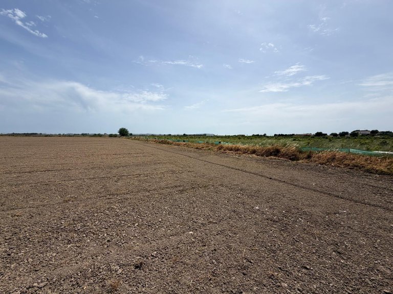 Plot for Sale in Dolores, Alicante 3